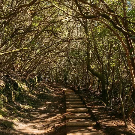 Apartamento La Casita De Vera *