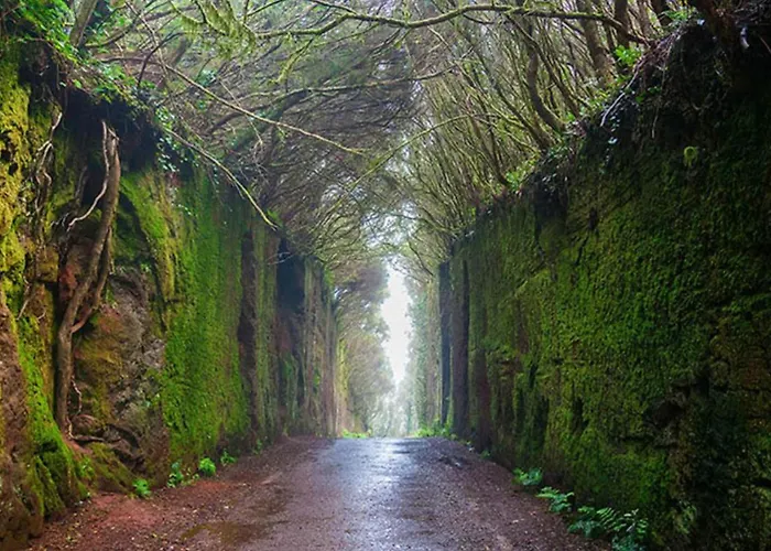 Apartment La Casita De Vera *